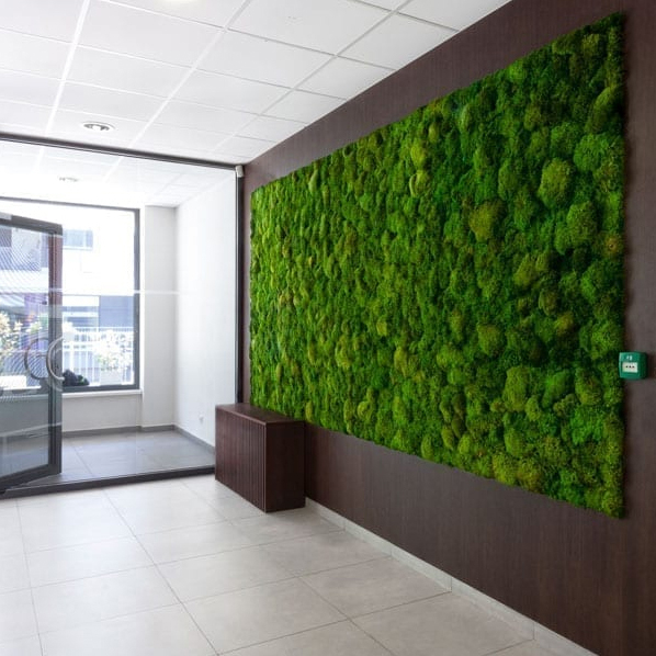 MOsvaeg-kvadratisk-indretning Væghængt Puslebord - Wallyweed - Cisi Systems